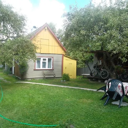 Alviine * Kuressaare